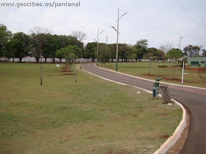 151_geocities_ws_pantanal.jpg