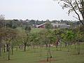 015_geocities_ws_pantanal