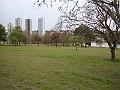 020_geocities_ws_pantanal