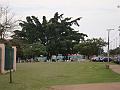 022_geocities_ws_pantanal