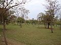 030_geocities_ws_pantanal