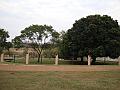 039_geocities_ws_pantanal