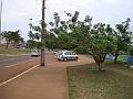 045_geocities_ws_pantanal