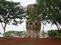 111_geocities_ws_pantanal