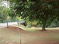 112_geocities_ws_pantanal