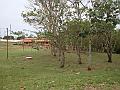 113_geocities_ws_pantanal