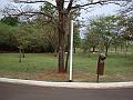 128_geocities_ws_pantanal