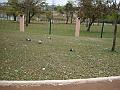 164_geocities_ws_pantanal