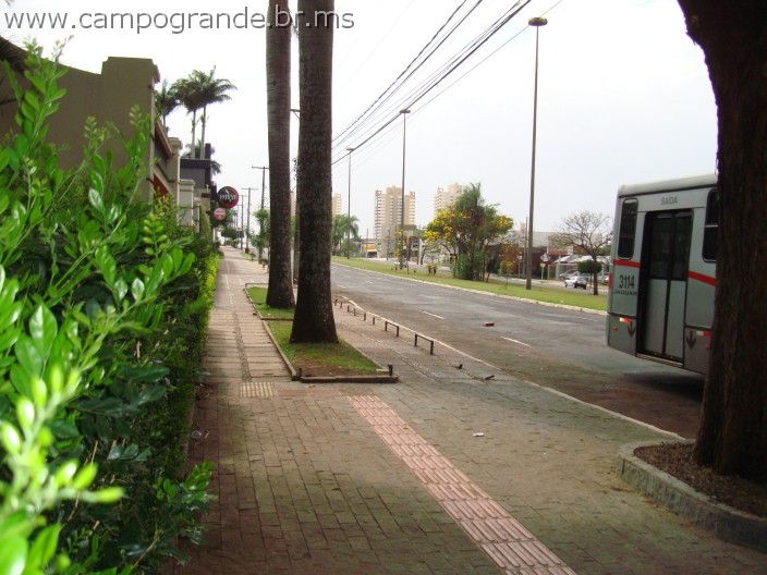 w.pantanal.br.ms.009.jpg