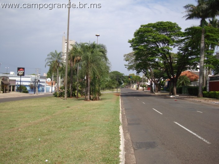 w.pantanal.br.ms.017.jpg