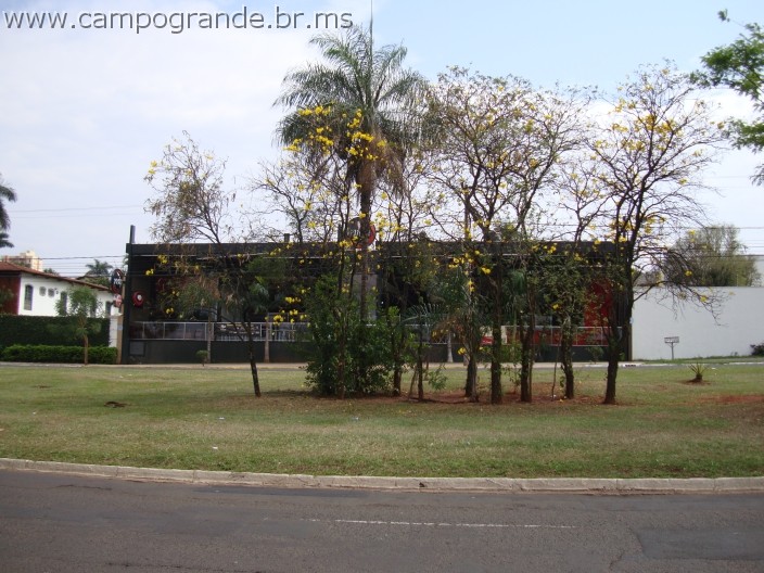 w.pantanal.br.ms.024.jpg