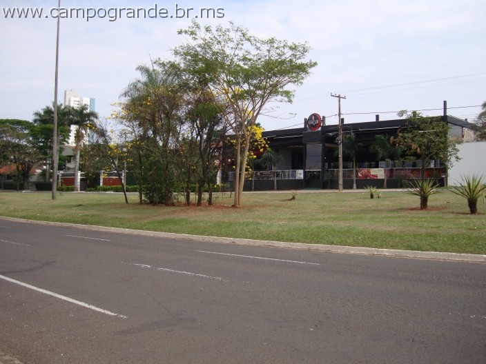 w.pantanal.br.ms.026.jpg