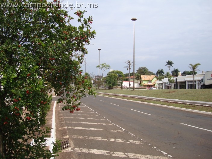w.pantanal.br.ms.082.jpg