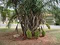 w.pantanal.br.ms.053