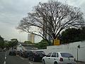 415_geocities_ws_pantanal