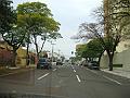 487_geocities_ws_pantanal