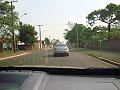600_geocities_ws_pantanal