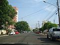 613_geocities_ws_pantanal