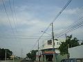 674_geocities_ws_pantanal