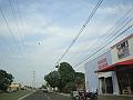 675_geocities_ws_pantanal