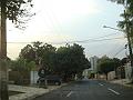 719_geocities_ws_pantanal
