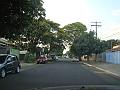 758_geocities_ws_pantanal