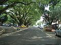 849_geocities_ws_pantanal
