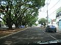 850_geocities_ws_pantanal