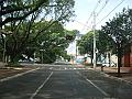 851_geocities_ws_pantanal