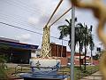 891_geocities_ws_pantanal