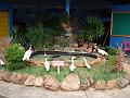 0947_geocities_ws_pantanal