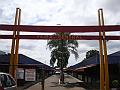 0974_geocities_ws_pantanal