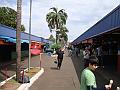 1005_geocities_ws_pantanal