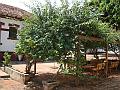 1148_geocities_ws_pantanal