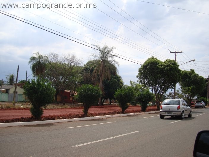 w.pantanal.br.ms.041.jpg