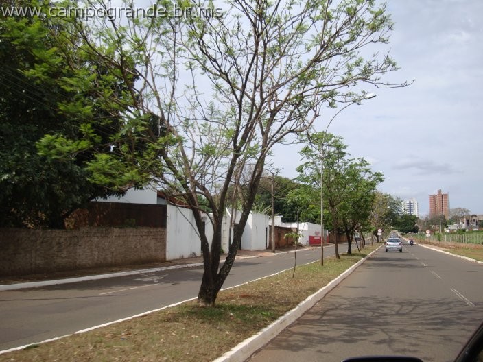 w.pantanal.br.ms.049.jpg