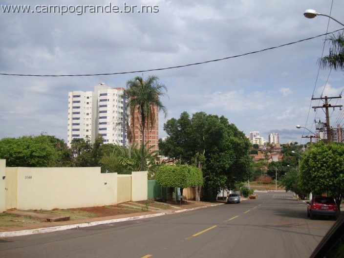 w.pantanal.br.ms.059.jpg