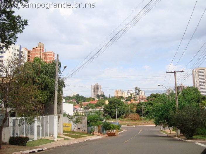 w.pantanal.br.ms.060.jpg