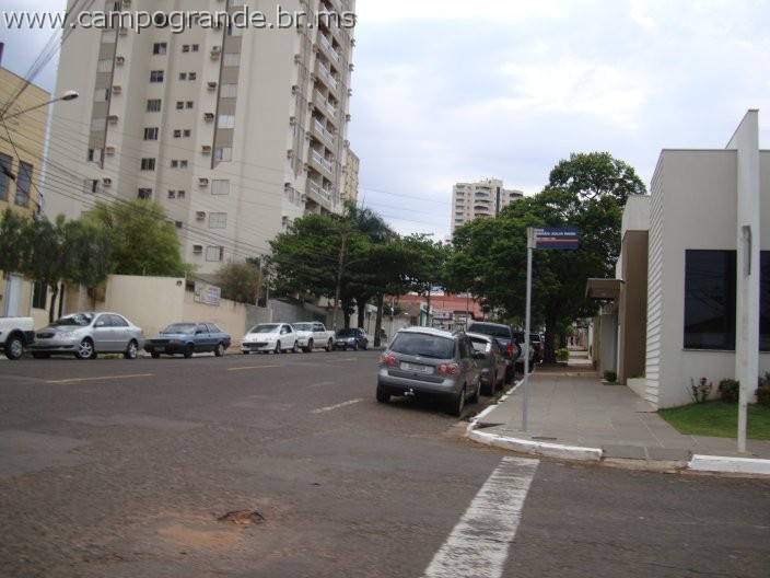 w.pantanal.br.ms.093.jpg