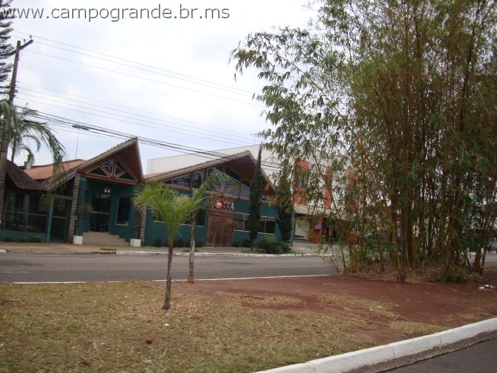 w.pantanal.br.ms.117.jpg