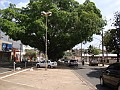 w.pantanal.br.ms.003