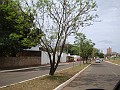 w.pantanal.br.ms.049