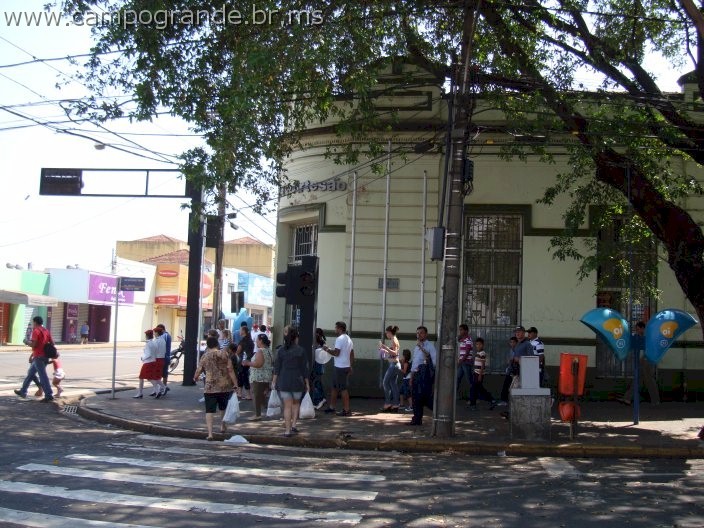 w.pantanal.br.ms.01.jpg