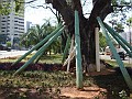 w.pantanal.br.ms.057