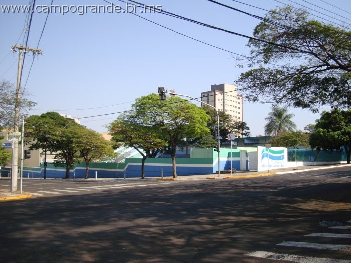 w.pantanal.br.ms.007.jpg