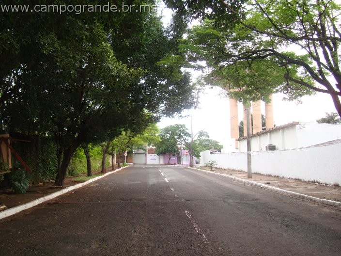 w.pantanal.br.ms-100.jpg
