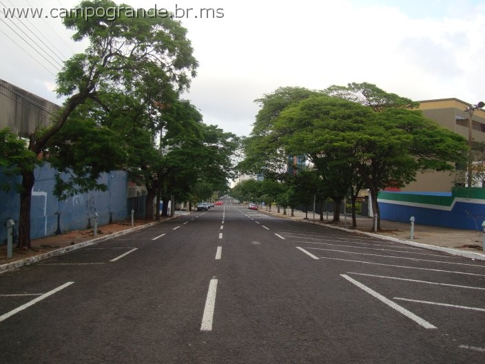 w.pantanal.br.ms-101.jpg