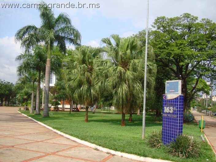 w.pantanal.br.ms-113.jpg