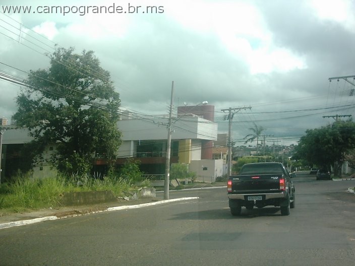 w.pantanal.br.ms-203.jpg