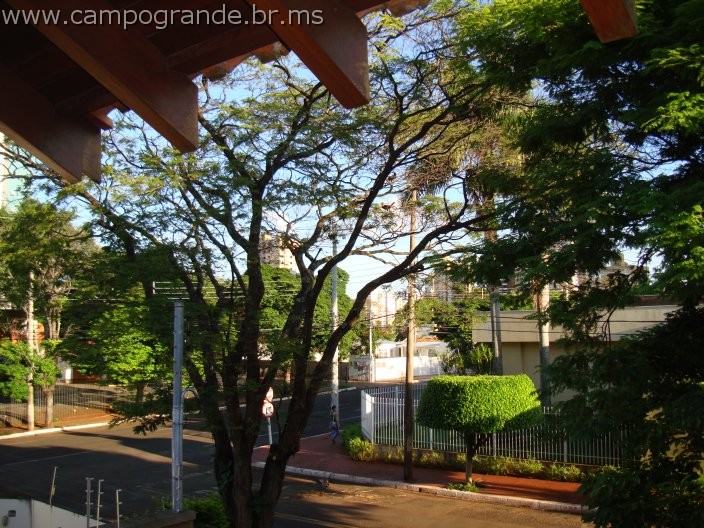 w.pantanal.br.ms-93.jpg